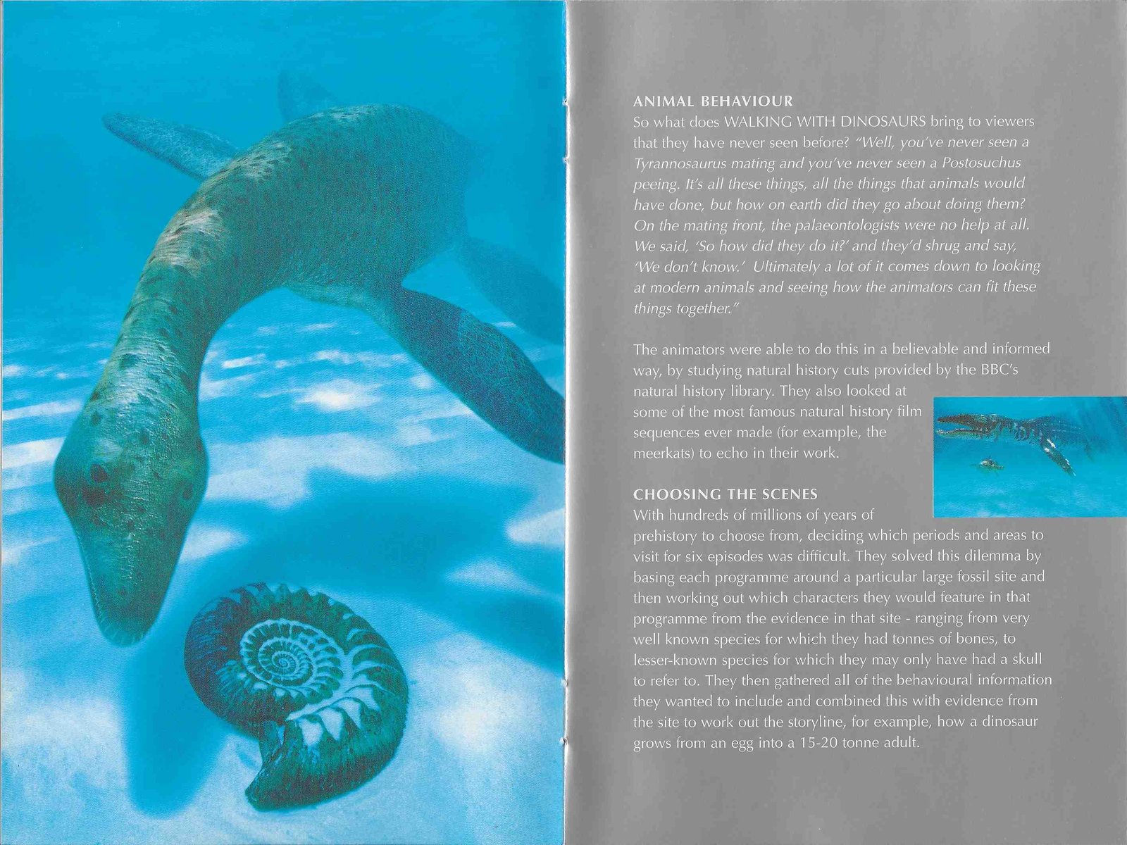 Inserts from BBCDVD 1016